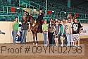 09yn-02798 thumbnail