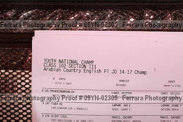 Proof Number 09yn-02305