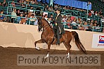 09yn-10396 thumbnail