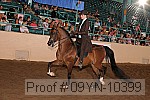 09yn-10399 thumbnail