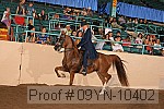 09yn-10402 thumbnail