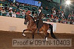 09yn-10403 thumbnail
