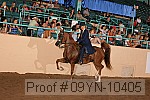 09yn-10405 thumbnail