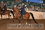 09yn-10406 thumbnail