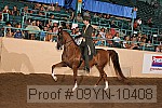 09yn-10408 thumbnail