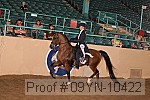 09yn-10422 thumbnail