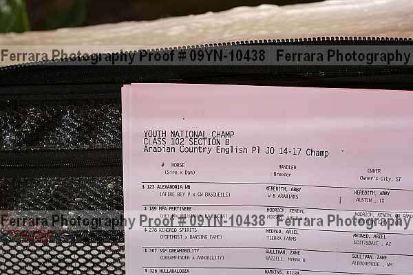 Proof Number 09yn-10438