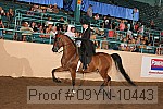 09yn-10443 thumbnail