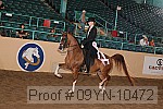 09yn-10472 thumbnail