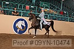 09yn-10474 thumbnail