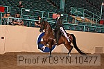 09yn-10477 thumbnail