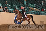 09yn-10478 thumbnail