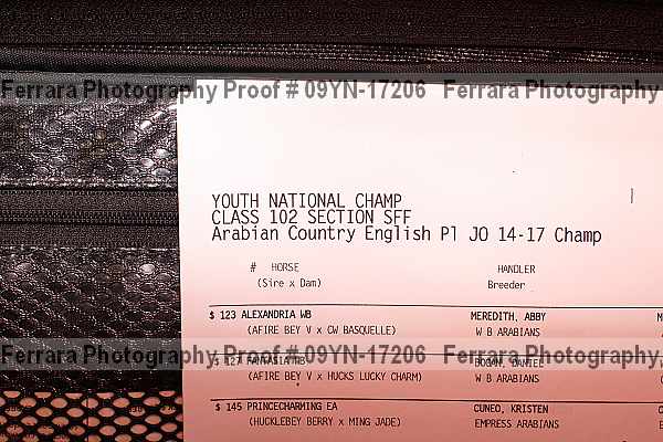 Proof Number 09yn-17206