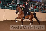 09yn-17217 thumbnail