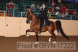 09yn-17222 thumbnail