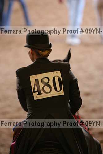 Proof Number 09yn-17277