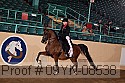 09yn-08538 thumbnail
