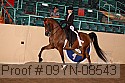 09yn-08543 thumbnail