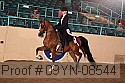 09yn-08544 thumbnail