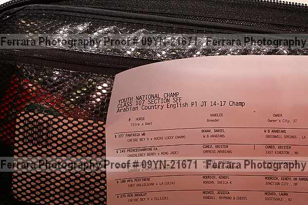 Proof Number 09yn-21671