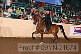 09yn-21674 thumbnail