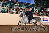 09yn-21676 thumbnail