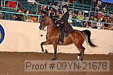 09yn-21678 thumbnail