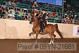 09yn-21681 thumbnail