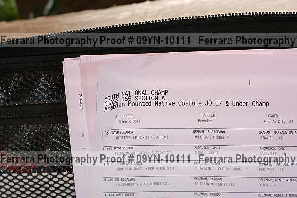 Proof Number 09yn-10111