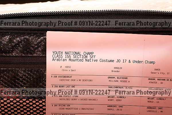 Proof Number 09yn-22247