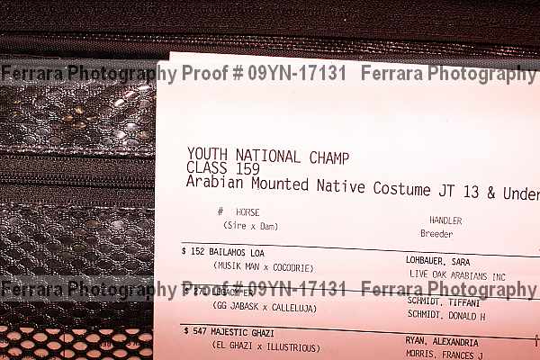 Proof Number 09yn-17131