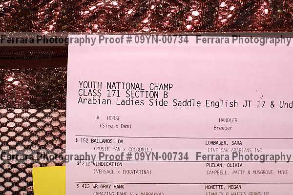 Proof Number 09yn-00734