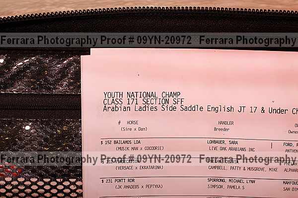 Proof Number 09yn-20972