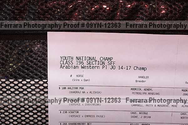 Proof Number 09yn-12363