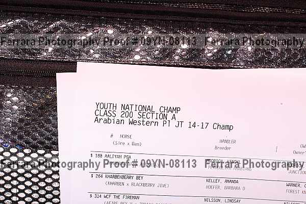 Proof Number 09yn-08113
