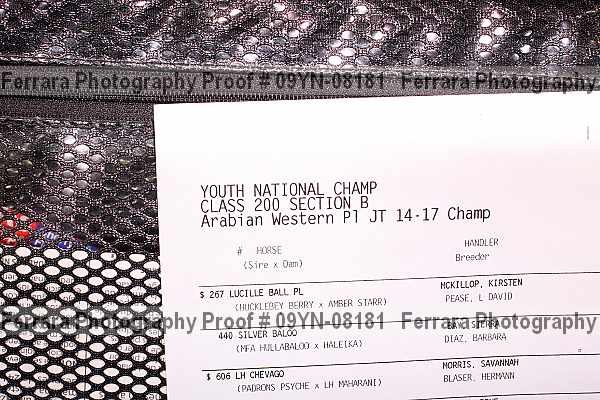 Proof Number 09yn-08181