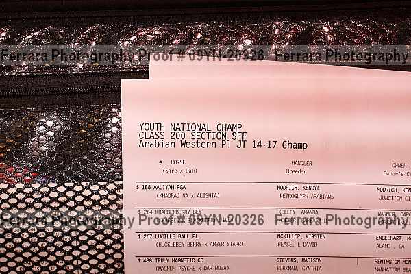 Proof Number 09yn-20326