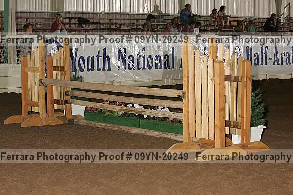 Proof Number 09yn-20249