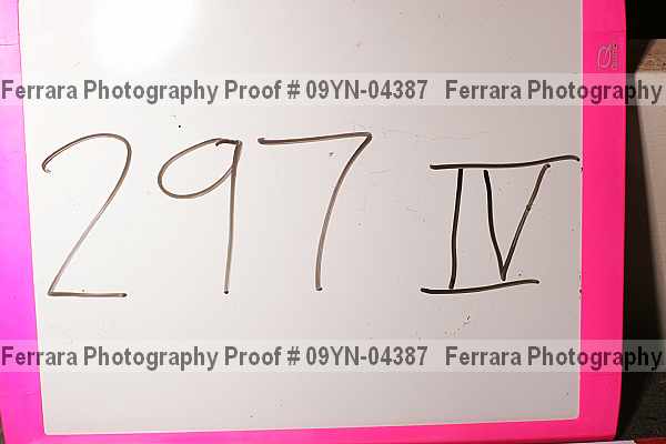 Proof Number 09yn-04387