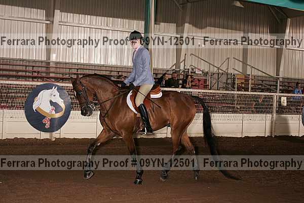 Proof Number 09yn-12501
