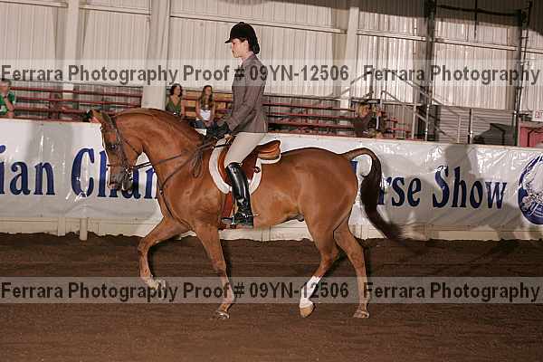Proof Number 09yn-12506