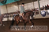 09yn-12583 thumbnail