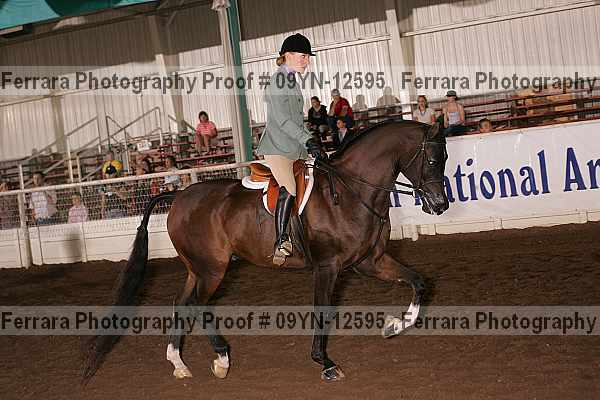 Proof Number 09yn-12595