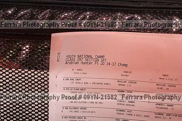 Proof Number 09yn-21582