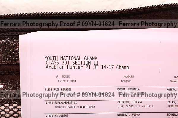 Proof Number 09yn-01624