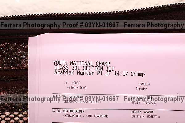 Proof Number 09yn-01667