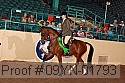 09yn-01793 thumbnail