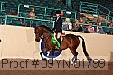 09yn-01799 thumbnail