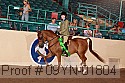 09yn-01804 thumbnail