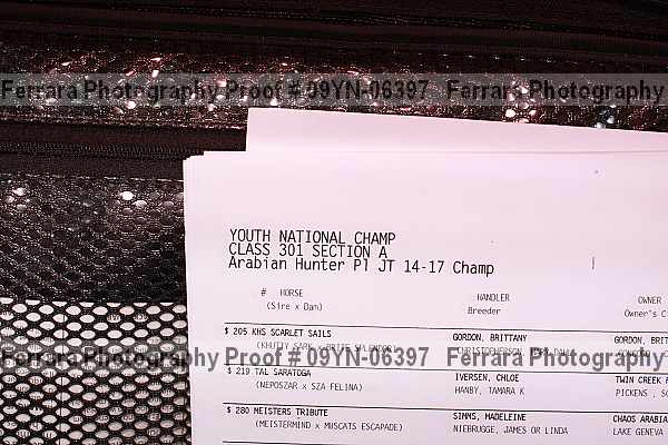 Proof Number 09yn-06397